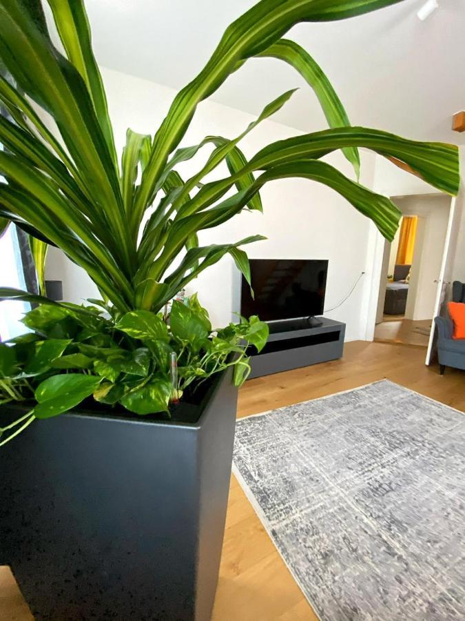 Stylish Two-Floor Apartment In A Heart Of Bazel Buitenkant foto